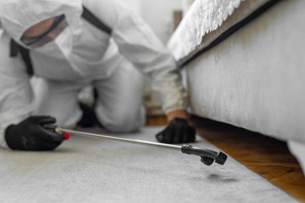 Professional Pest Control technician working in Chickamauga, GA