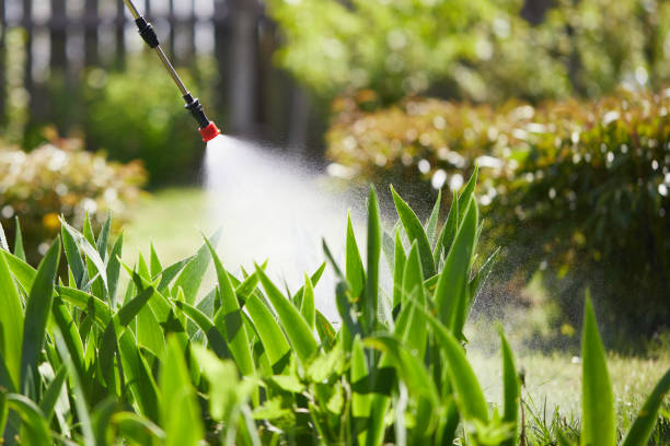 24/7 Emergency Termite Control experts in Chickamauga, GA