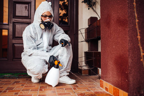 Reliable Termite Control contractor in Chickamauga, GA by Nex Pest Control