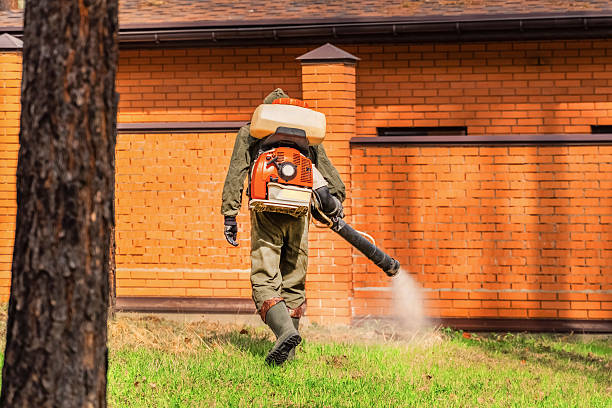 Trusted Cockroach Control service in Chickamauga, GA - Nex Pest Control